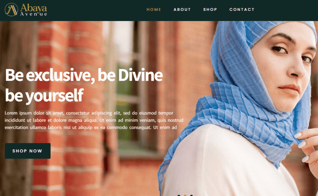 Website Portfolio
