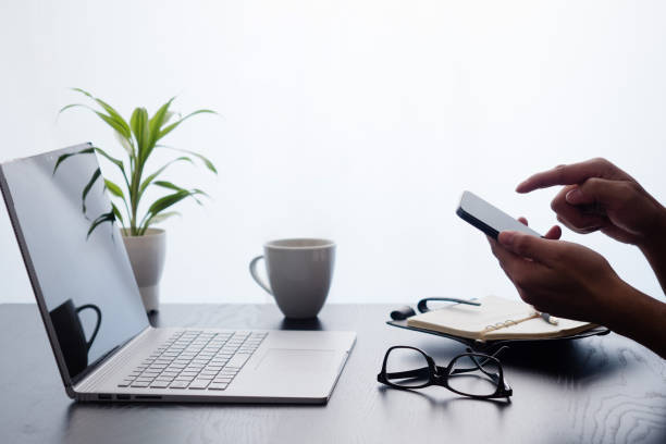 elementorex-contact-us