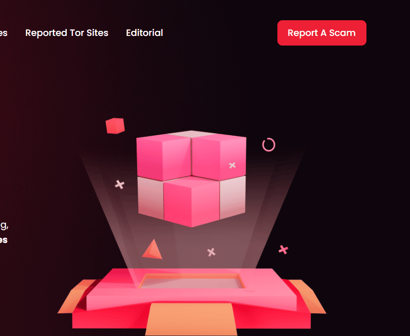 Website Portfolio